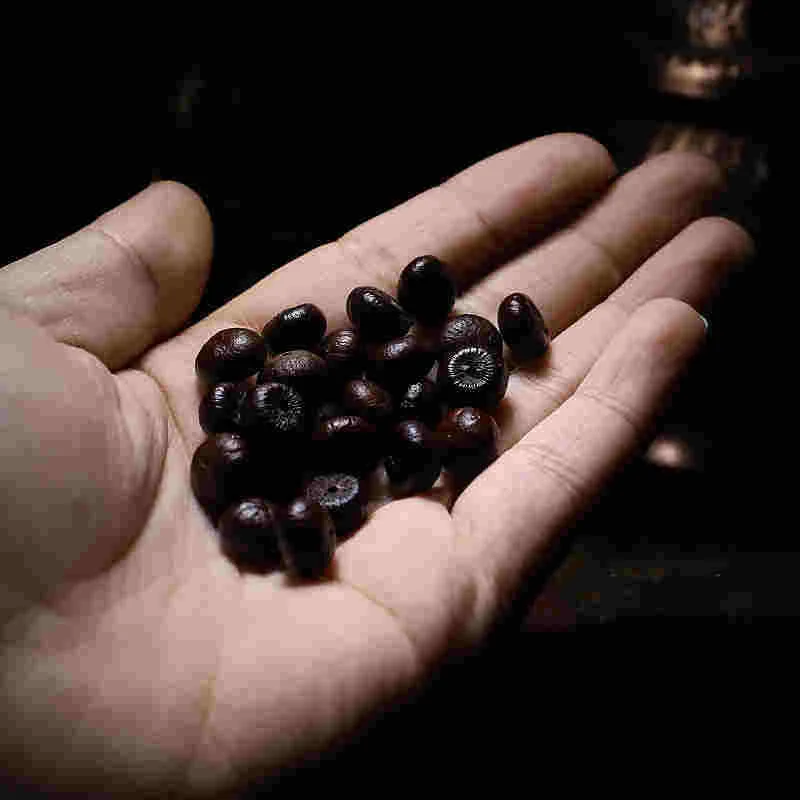 Mythstone Tibet 108 Mala Beads Purple Bodhi Seed Bagua Vajra Auspiciousness Bracelet - Image 7