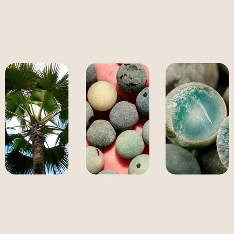 Mythstone 108 Beads Bodhi Seed Blessing Meditation Bracelet Mala - Image 11