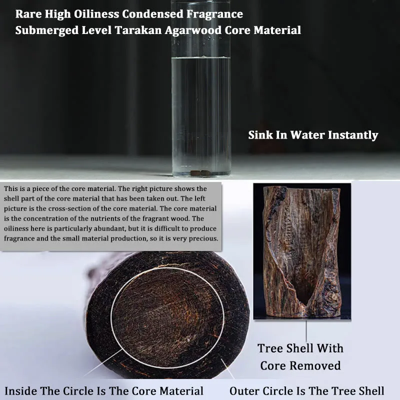 Tarakan Rare Agarwood 925 Sterling Silver Chinese Zodiac 999 Pure Gold Beads Ward Off Evil Spirits Bracelet - Image 11