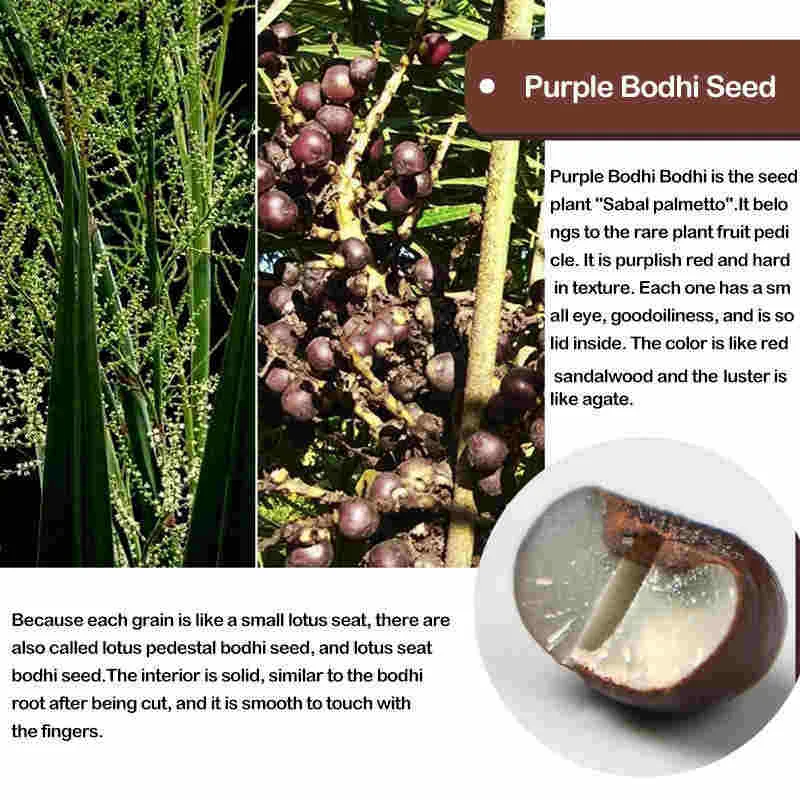Mythstone Tibet 108 Mala Beads Purple Bodhi Seed Bagua Vajra Auspiciousness Bracelet - Image 8